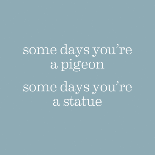 some days you're a pigeon some days you're a statue